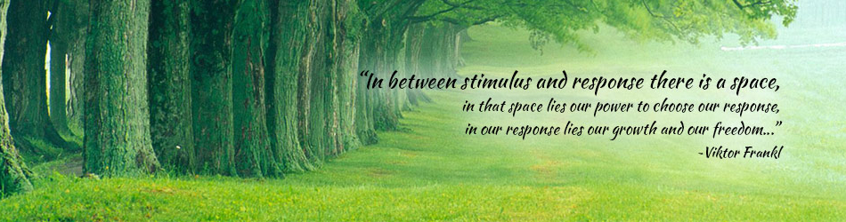 AE-header-forest-960×250-v1